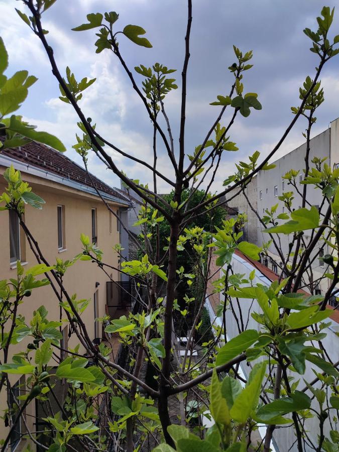 Centar Novi Sad-Apartman No 3 Екстериор снимка