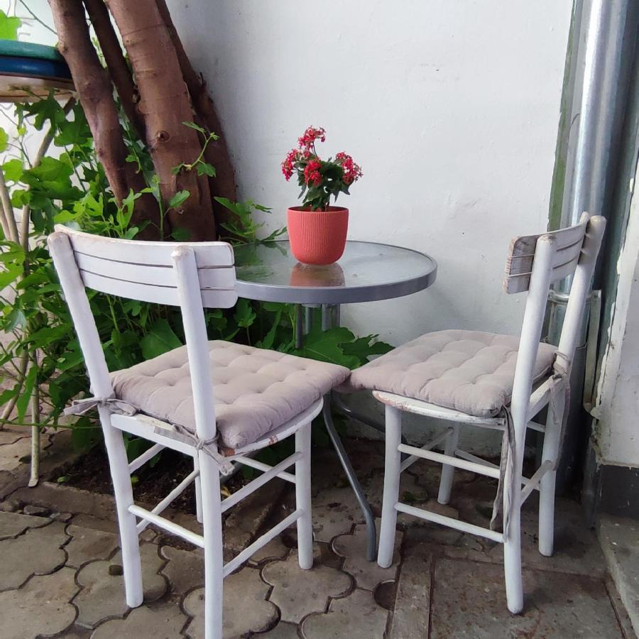 Centar Novi Sad-Apartman No 3 Екстериор снимка